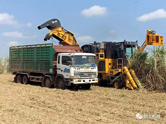 甘蔗收获机挺进柬埔寨市场 再获一笔出口大单！