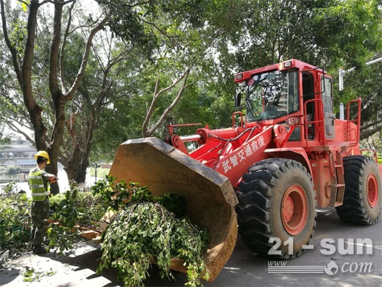 大型工程机械清理受损的厦门园林绿化带