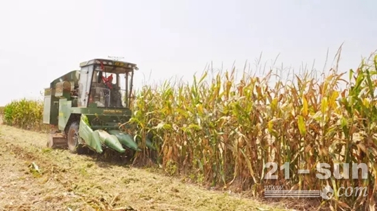 谷王玉米机助力河南三秋农业生产