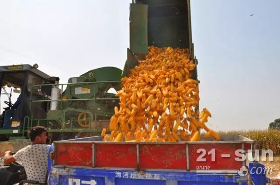 谷王CC40玉米机卸粮方便，作业效率大幅提高