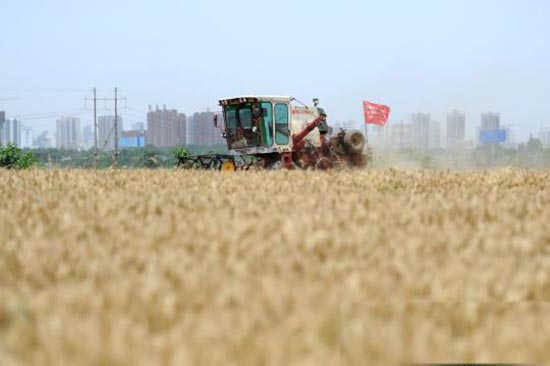 “三夏”麦收将过 关注国三农机安全隐忧