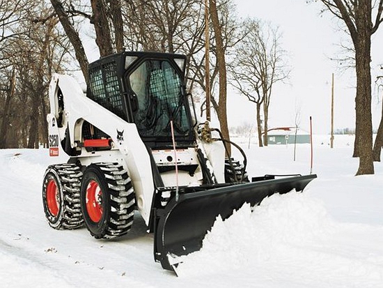 每次下雪，都会想起“撒欢”的山猫们……