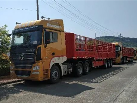 “鼠”你最红| 批量订单！“硬漢”助力凉都建设