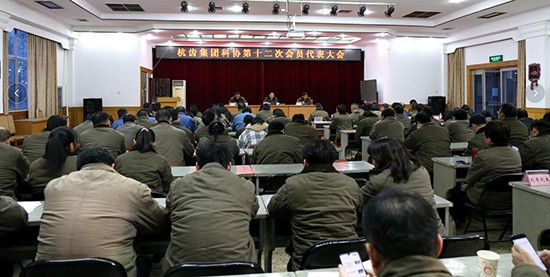 杭齿集团科协第十二次会员代表大会胜利召开