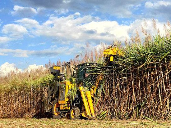 2020年柳工甘蔗收获机销量同比增长160%