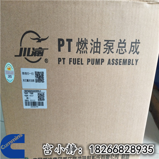 连云港挖掘机燃油泵4060289重康M11工程机械设备配件