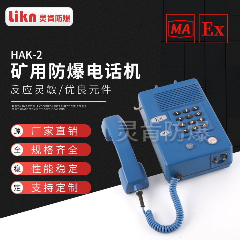  HAK-2防潮尘电话按键壁挂电话机矿用电话机