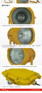 DGS70/127B(A)矿用隔爆型投光灯