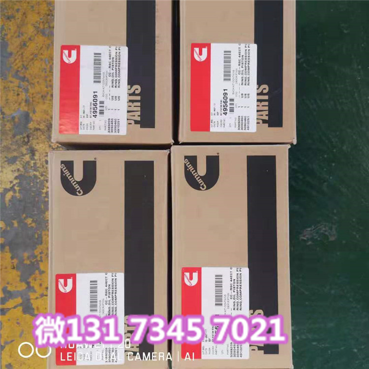 约旦3804708活塞环辉门公司FP活塞环QSX15活塞环供货