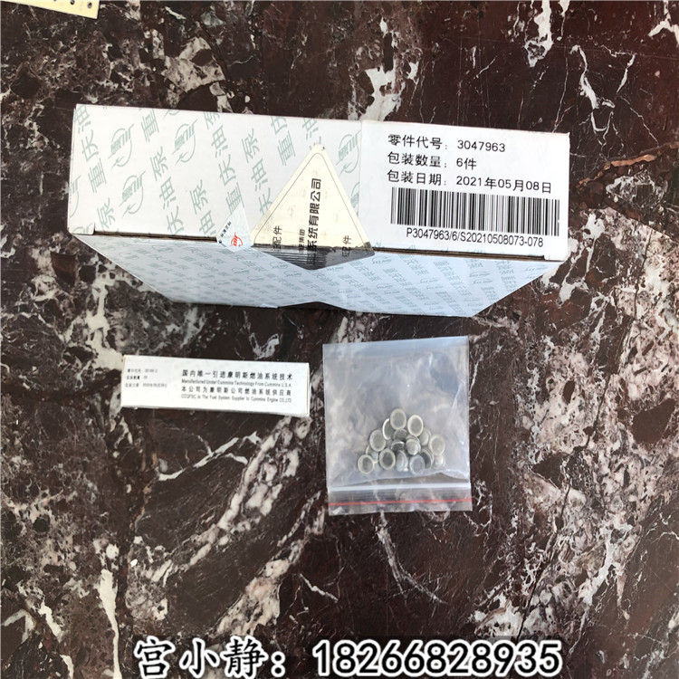 重庆康明斯NTA855喷油器柱塞3047963 推土机发动机零件