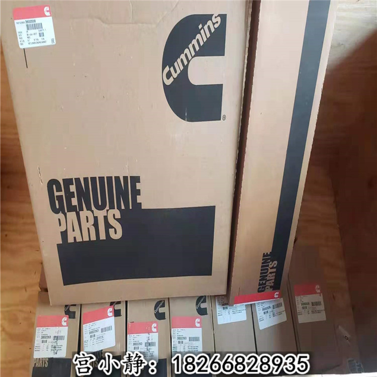 徐州徐工机械发动机大修 6C下修理包3800558