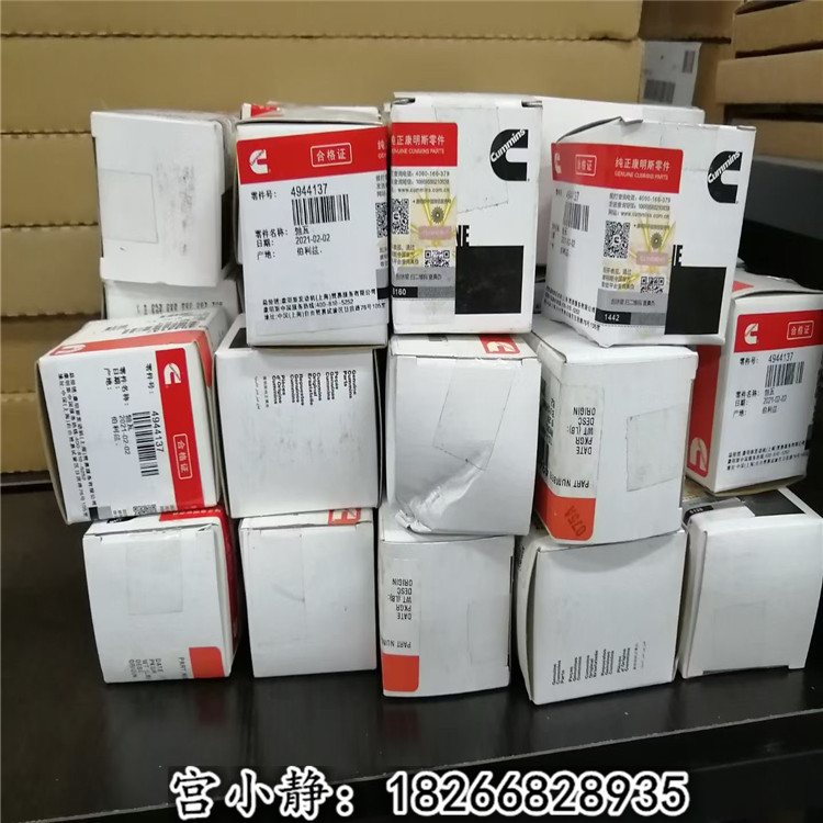 藤县钢铁厂挖掘机维修 QSL连杆衬套4944137