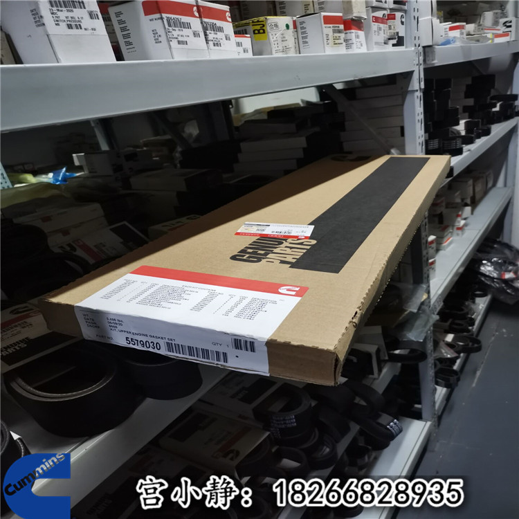 康明斯下修理包4089889 QSL9发动机全车垫