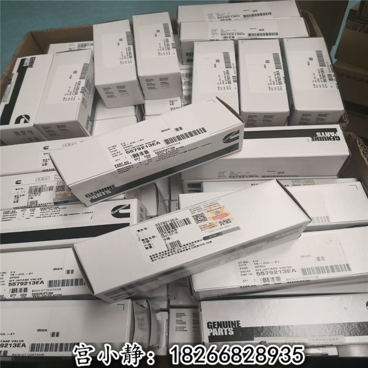 6CTA8.3-GM排气阀C3921444 船舶进气门C3924492
