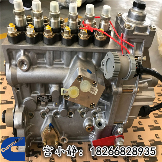 QST30燃油泵2881834三一重工SRT95矿卡喷油泵