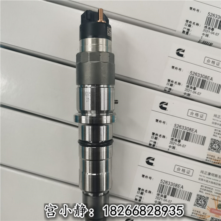 柳工挖掘机喷油器5263308EA国产东亚柴油机件