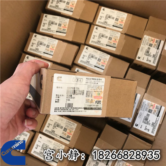 陕汽牵引车喷油器（西康4061851EA）ISM11经销