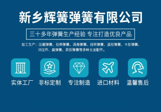 扁弹簧详情(2)