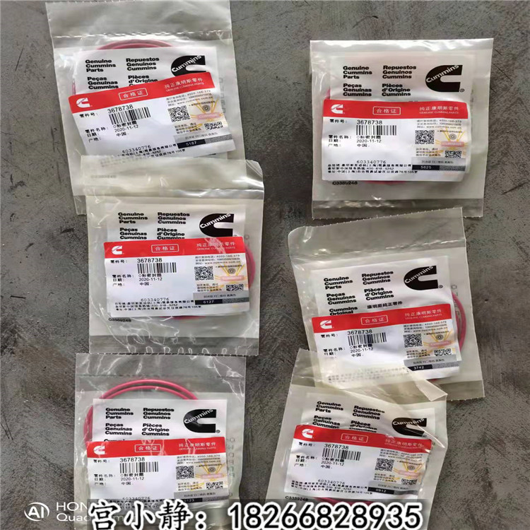 徐工挖掘机缸套阻水圈3678738甘肃镜铁山铁矿