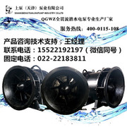 灯泡贯流泵大流量低扬程316贯流泵双向排水泵