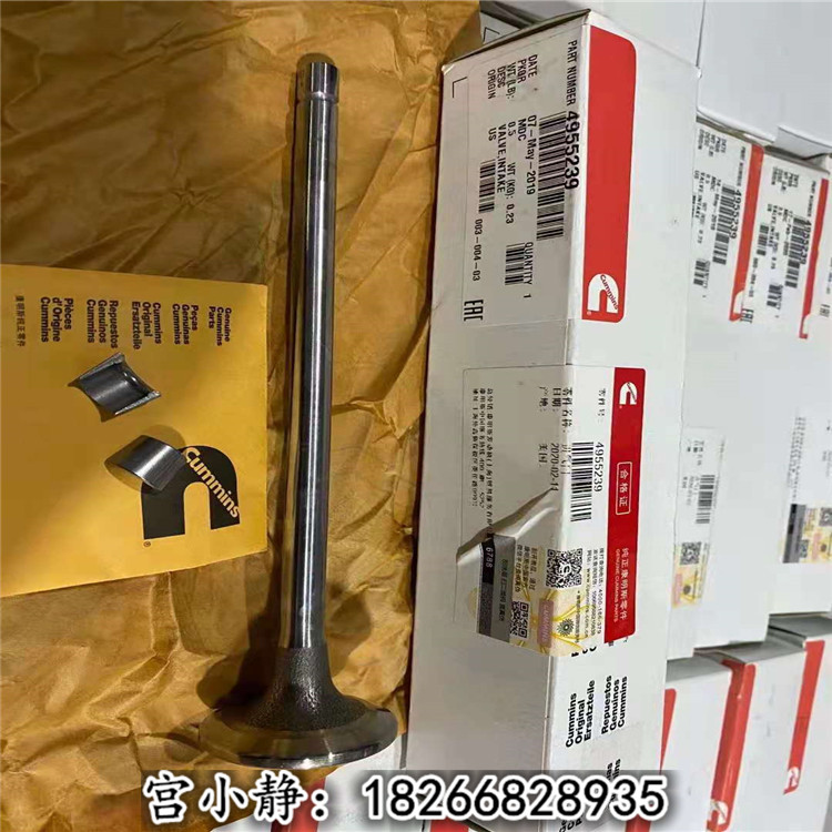 兰州矿区QSK气门3803528邦立挖掘机排气门/燃油泵安装