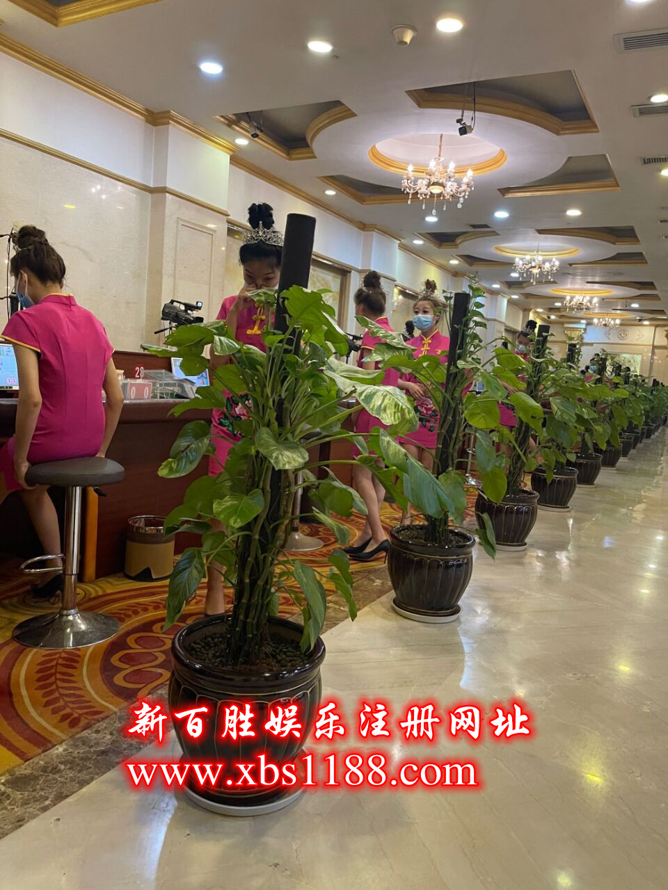 新百胜公司官方注册网址www.xbs1188.com