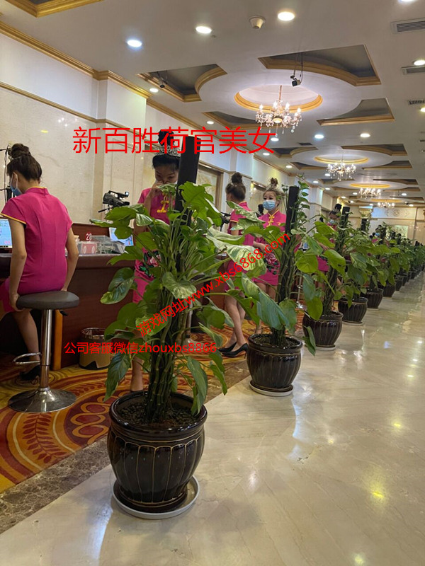新百胜公司网投游戏怎么开户联系在线网站