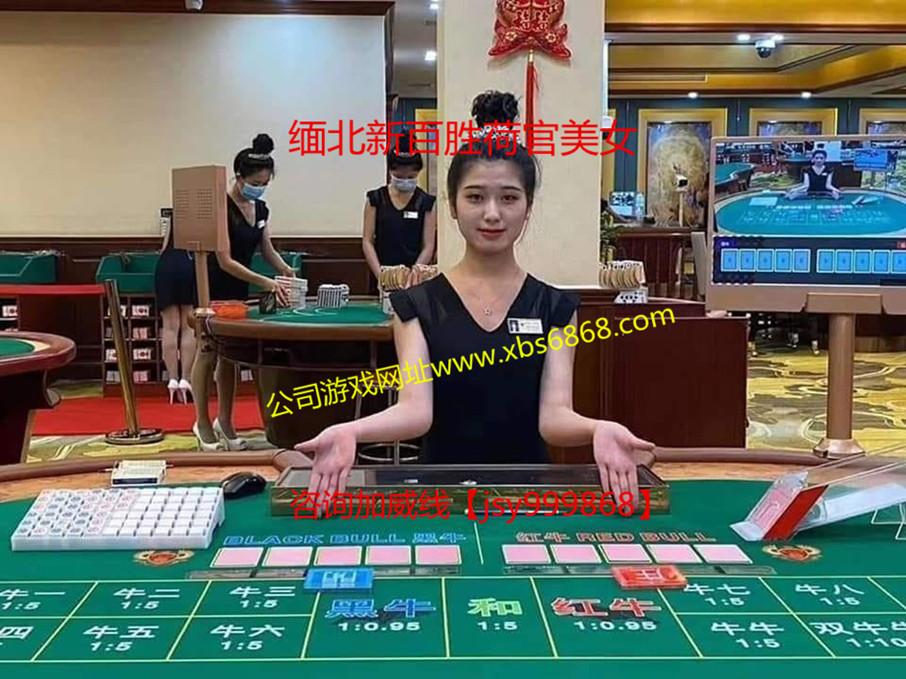 新百胜公司网投游戏真人视讯现场同步资金安全