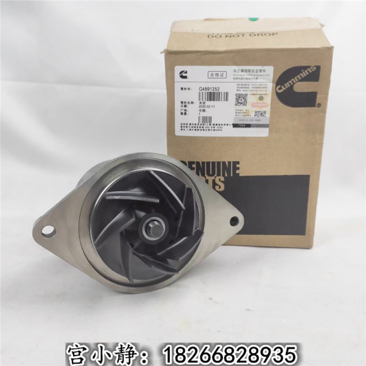 QSB6.7现代R305-9挖掘机配置康明斯水泵总成4891252