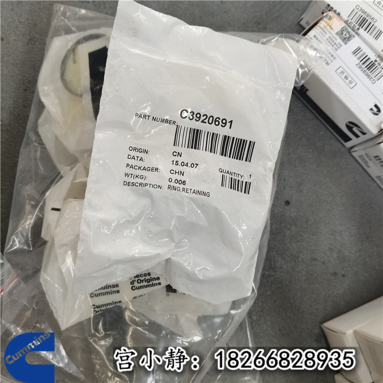 进口QSX15电控发动机零件Cummins3901846定位销