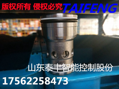 TLC040AB40E-7X插件 标准500吨压力机插装阀配件
