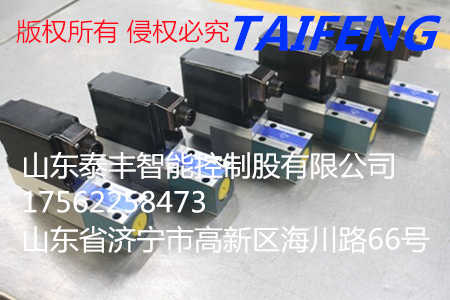 TDBET6E型直动式比例溢流阀 生产厂家泰丰智能 质优价廉