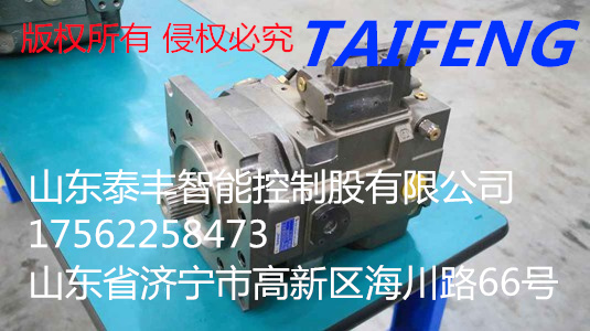 TFA10VSO18DFLR/31R-PSC12N00高压柱...