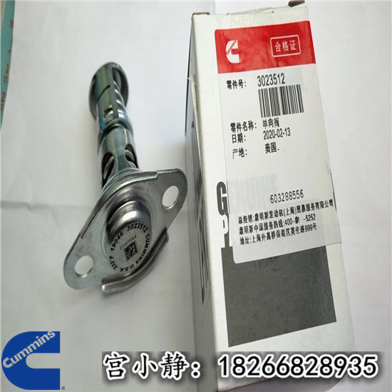 NTA855单向阀3028325上海彭埔机器厂PD165Y单向阀3028324