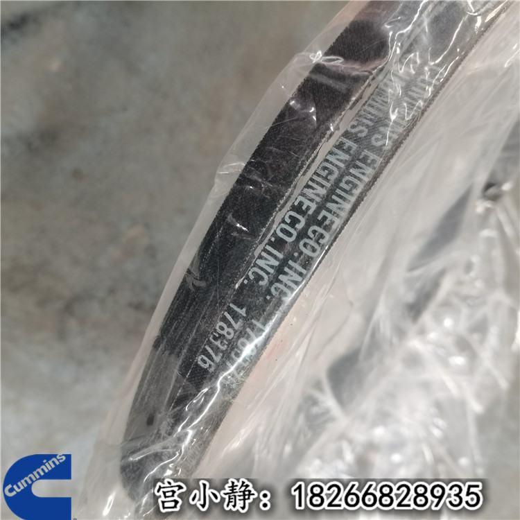 重庆康明斯柴油机水泵皮带4296936 彭浦推土机皮带