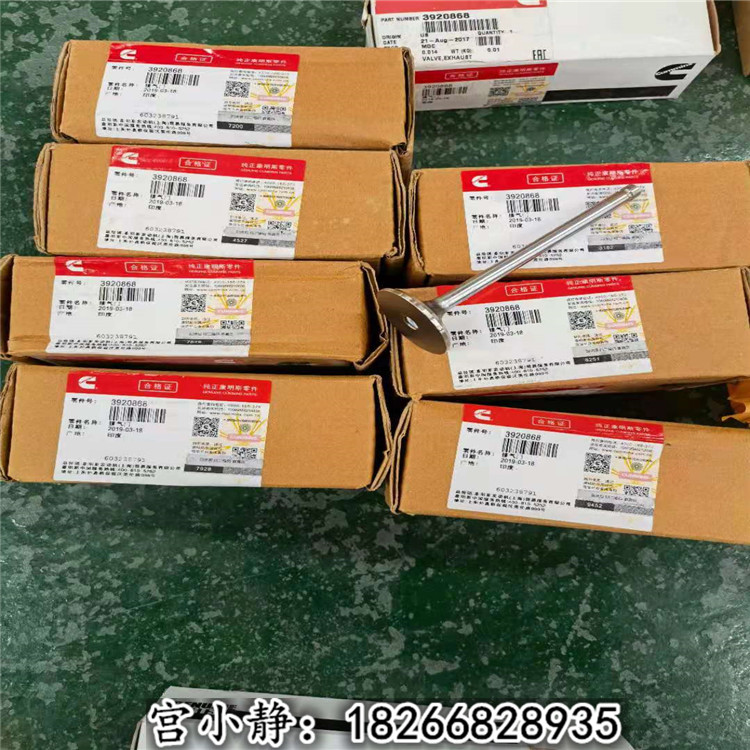 东风天龙4B柴油机气缸件（康明斯3920868）排气门