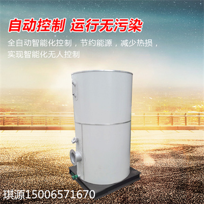 琪源 沼气锅炉 不锈钢热水锅炉 0.3吨沼气取暖锅炉