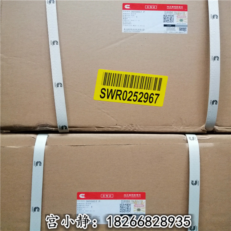 NT855-DM海水泵3655857船用辅机保养油水分离器2020PM
