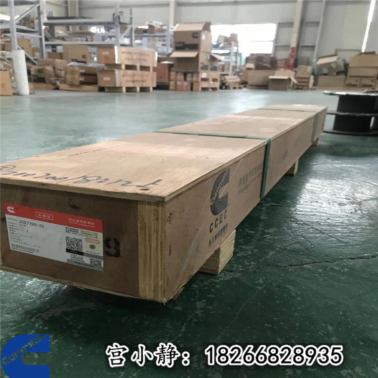 QSN凸轮轴3087799潍柴SD22国三发动机启动马达5367763
