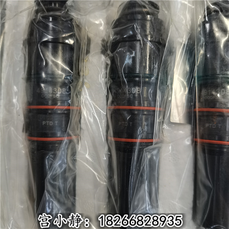 中环动力自卸车油嘴总成4914505重康NTA855重油六只装
