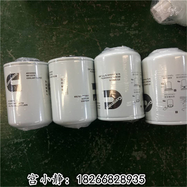 防腐器WF2176 NTA855弗列加水滤芯WF2076