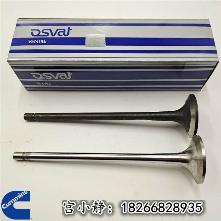 QSK60 C2300别拉斯气缸修理进排气阀2881810 2881811