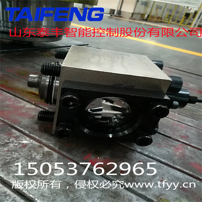 山东泰丰厂家可加工定制充液阀TRCF1-250A1