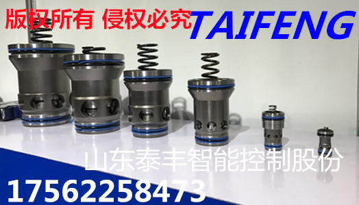 泰丰TLC016DB20H带阻尼插件阀芯