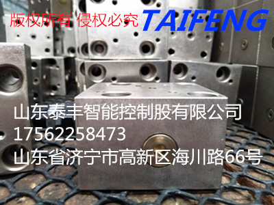 盖板TLFA40WEZA-7X 带电磁阀安装面 有现货