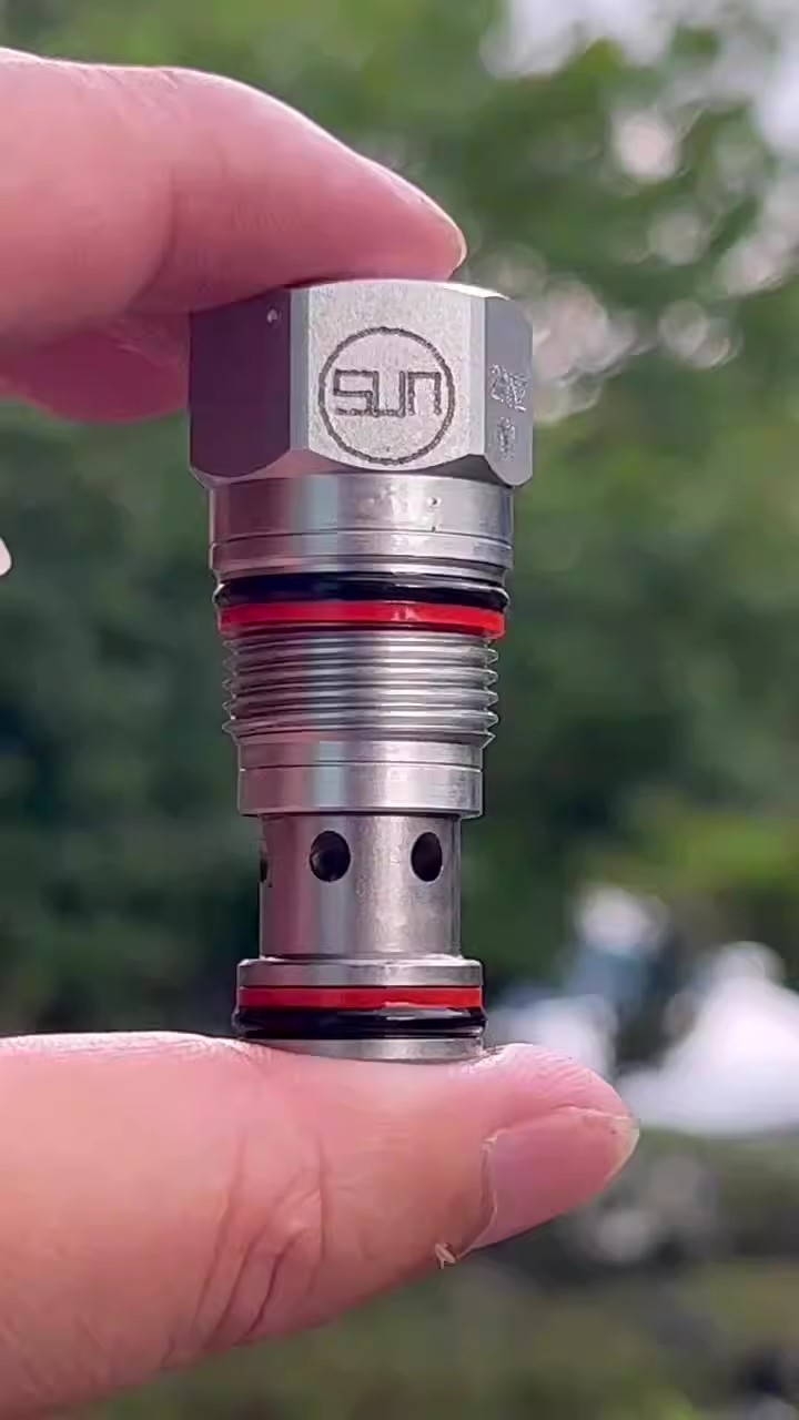 国产德斯诺威插装阀CXDAXCV单向阀