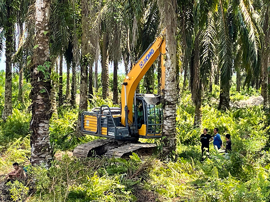 百台齐发！徐工XE135F挖掘机用实力征服热带雨林