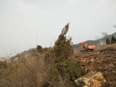 山东省潍坊市出租235履带式挖掘机