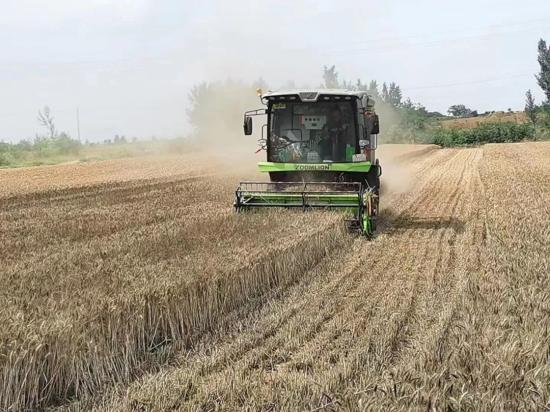 助力河南“雨口夺粮”，中联重科农业机械打响“麦子保卫战”