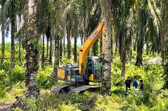 丝路闪耀⑥丨徐工特挖助力印尼雨林新发展